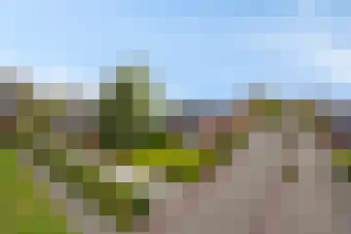 Kruisweg 34 Marum thumbnail 4