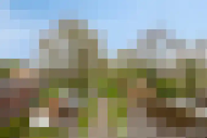 Kruisweg 34 Marum thumbnail 41