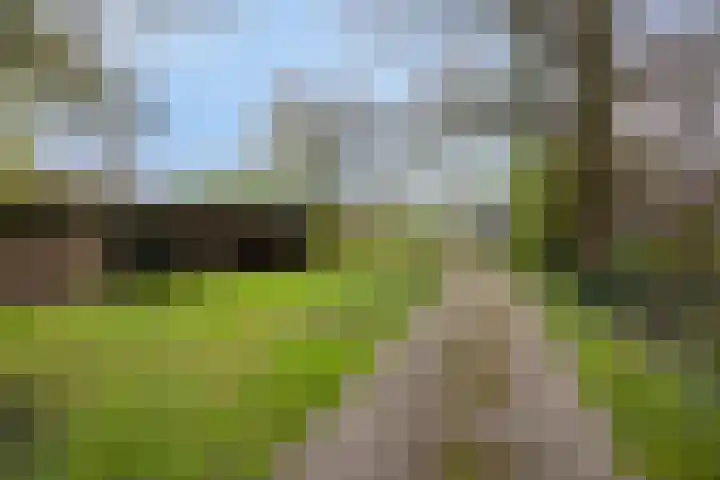 Kruisweg 34 Marum thumbnail 42