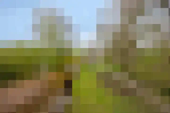 Kruisweg 34 Marum thumbnail 43