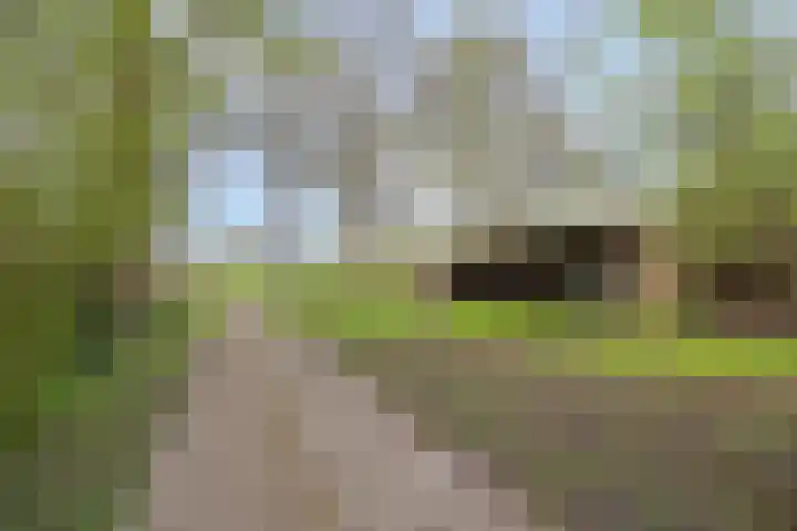 Kruisweg 34 Marum thumbnail 48