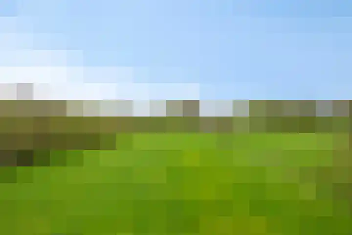 Kruisweg 34 Marum thumbnail 49