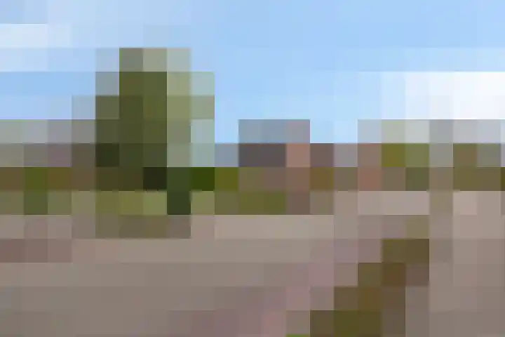 Kruisweg 34 Marum thumbnail 5