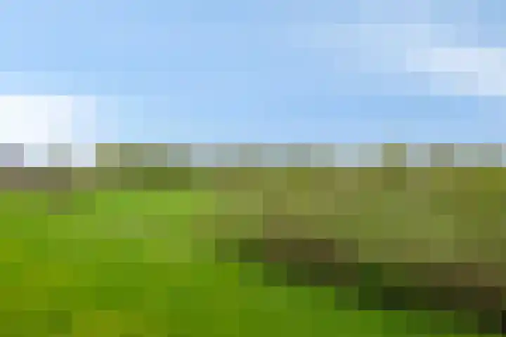 Kruisweg 34 Marum thumbnail 50