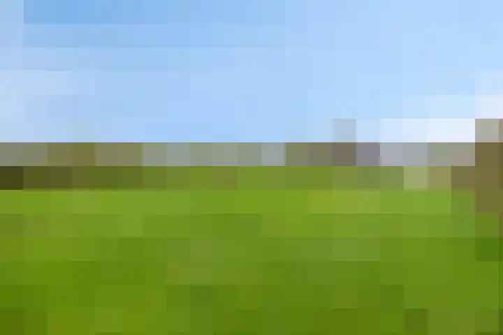 Kruisweg 34 Marum thumbnail 51