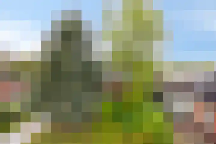 Kruisweg 34 Marum thumbnail 6