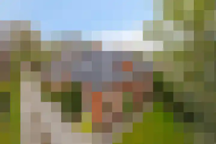 Kruisweg 34 Marum thumbnail 7