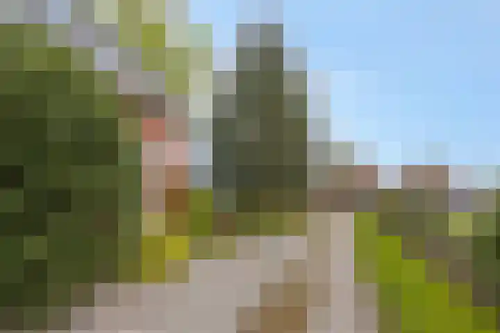Kruisweg 34 Marum thumbnail 8