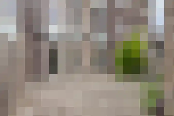 Kruisweg 4 Beverwijk thumbnail 25