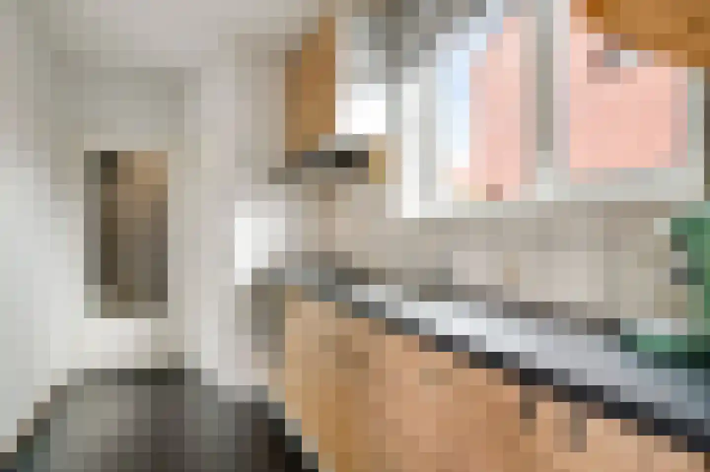 Kruisweg 4 Vlodrop thumbnail 19