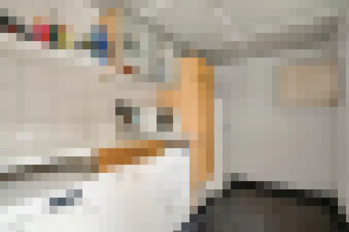 Kruisweg 4 Vlodrop thumbnail 20