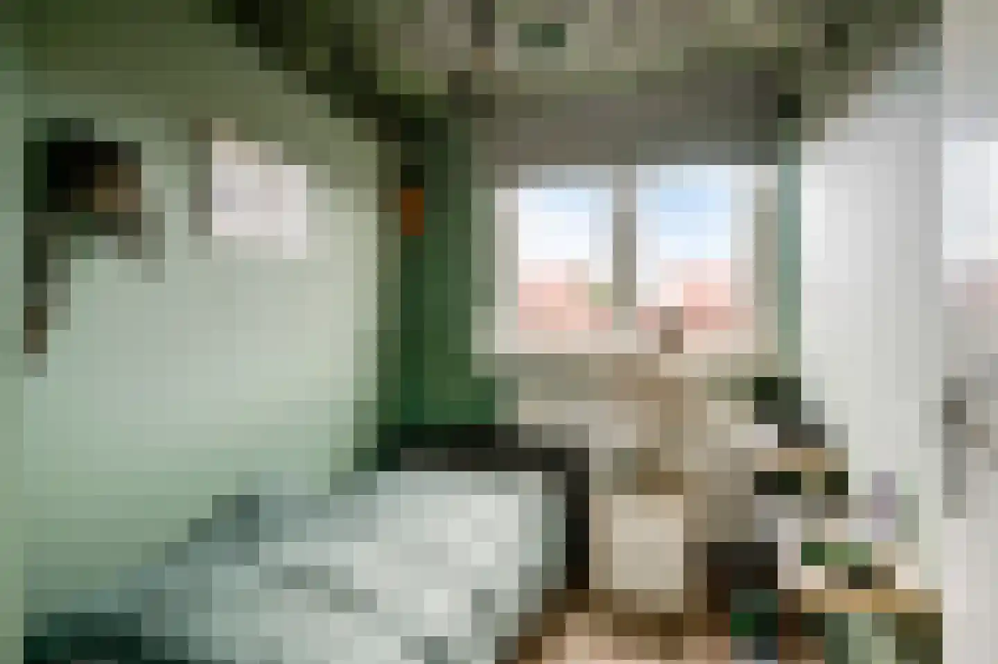 Kruisweg 4 Vlodrop thumbnail 34