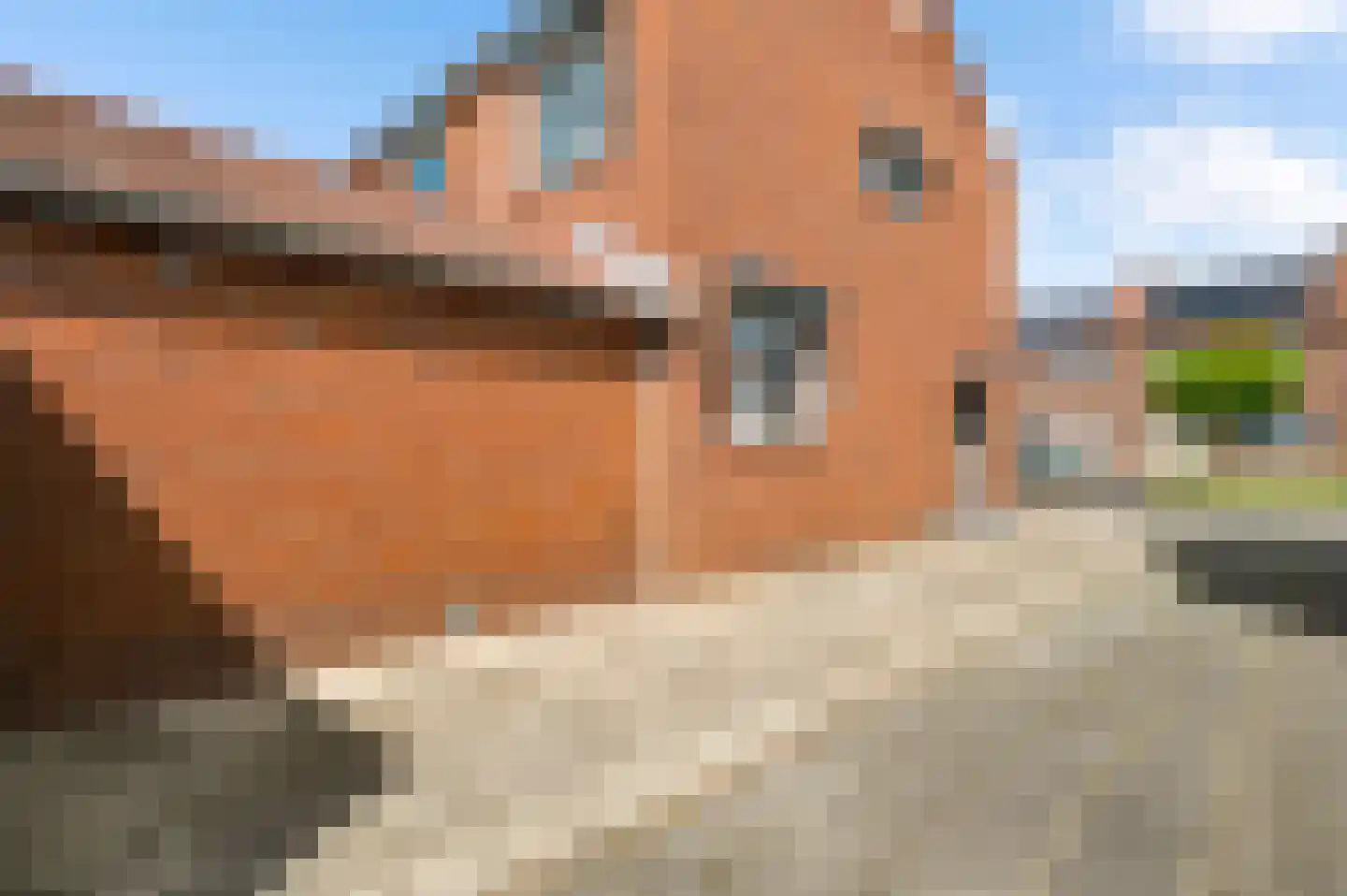 Kruisweg 4 Vlodrop thumbnail 7