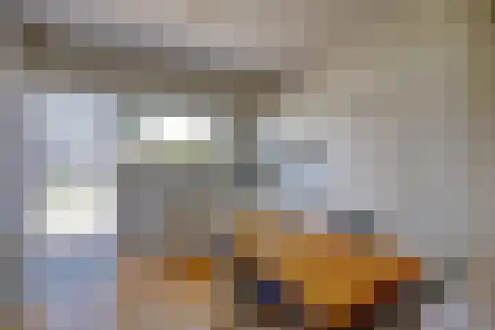 Kruisweg 49 Twello thumbnail 17