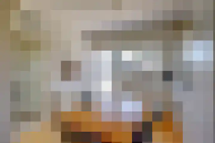 Kruisweg 49 Twello thumbnail 18