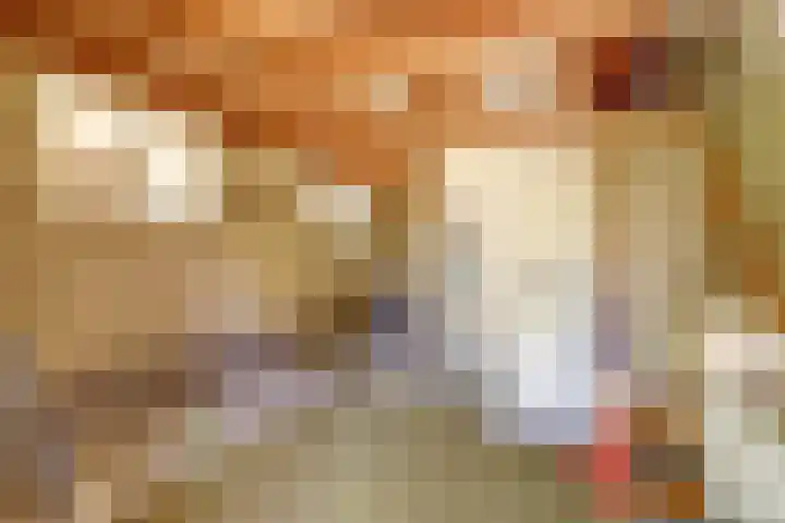 Kruisweg 49 Twello thumbnail 23