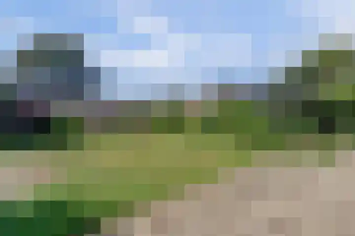 Kruisweg 49 Twello thumbnail 34