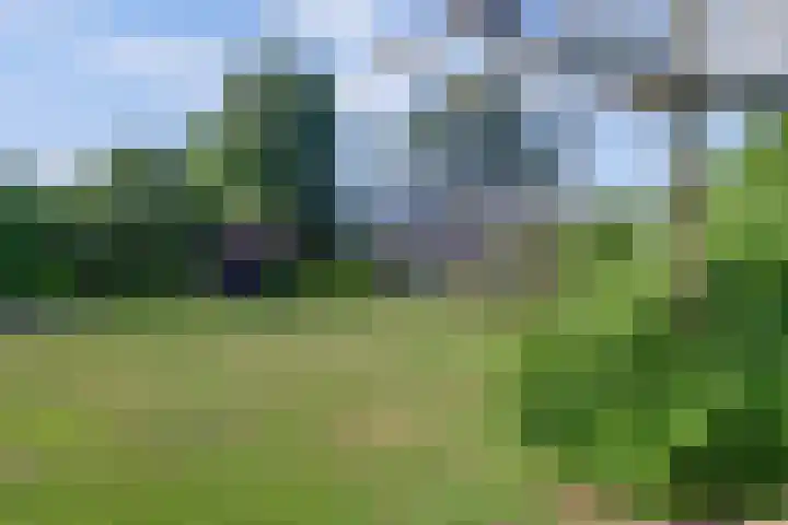 Kruisweg 49 Twello thumbnail 37