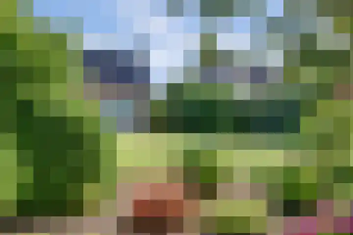 Kruisweg 49 Twello thumbnail 38