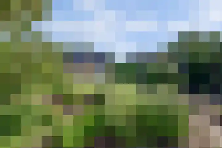 Kruisweg 49 Twello thumbnail 39