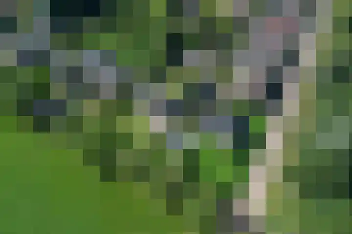 Kruisweg 49 Twello thumbnail 40