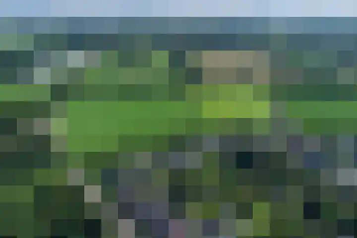 Kruisweg 49 Twello thumbnail 41