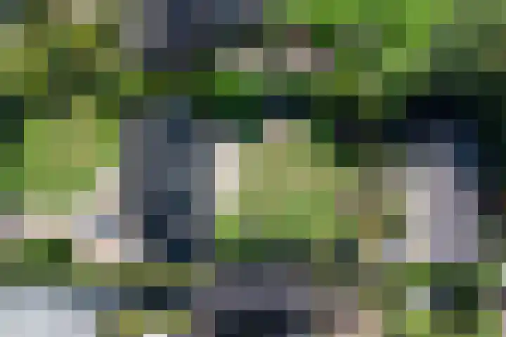 Kruisweg 49 Twello thumbnail 6