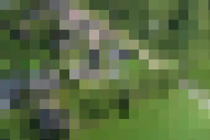 Kruisweg 49 Twello thumbnail 7