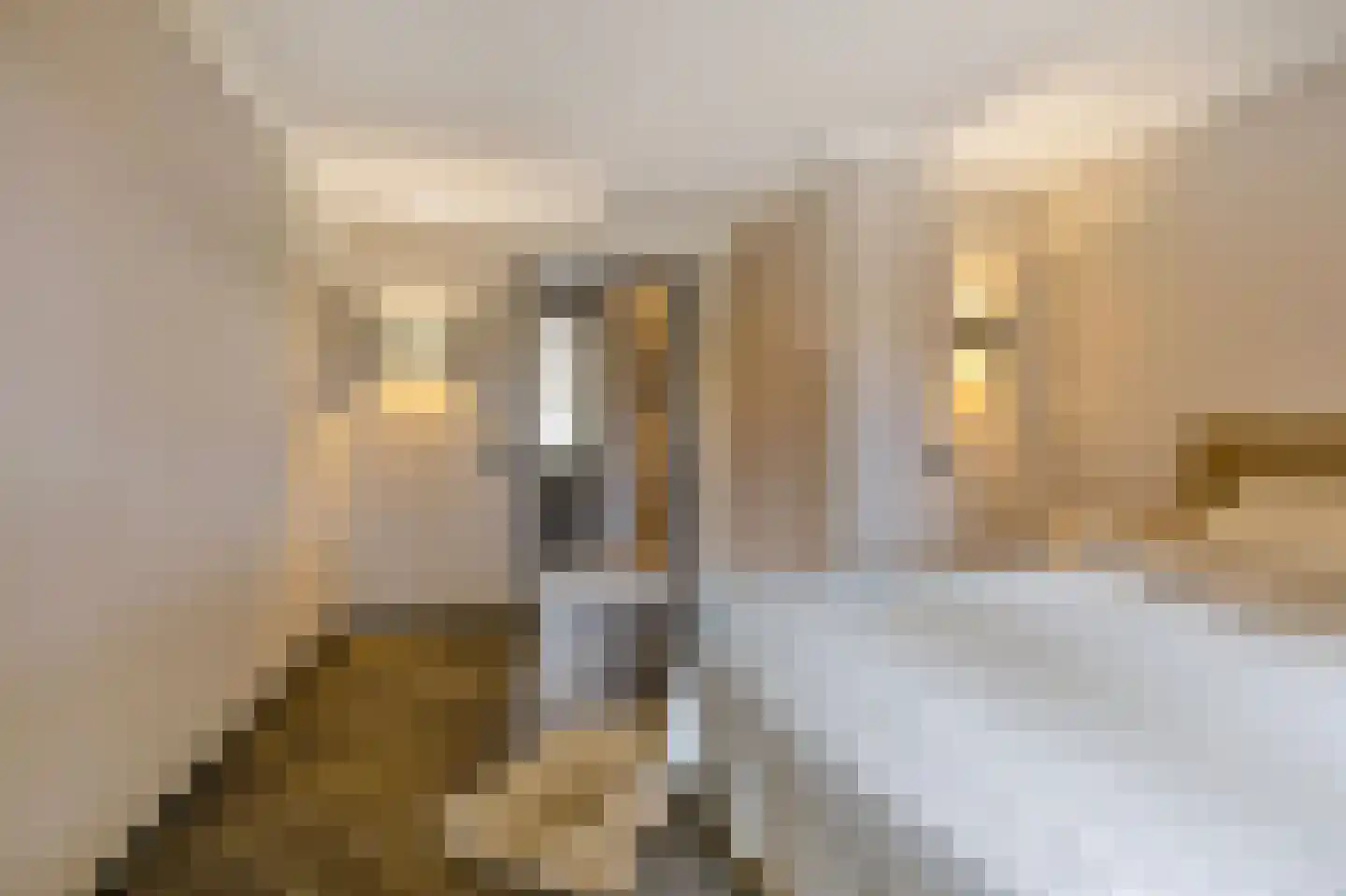Kruisweg 5 Waskemeer thumbnail 16