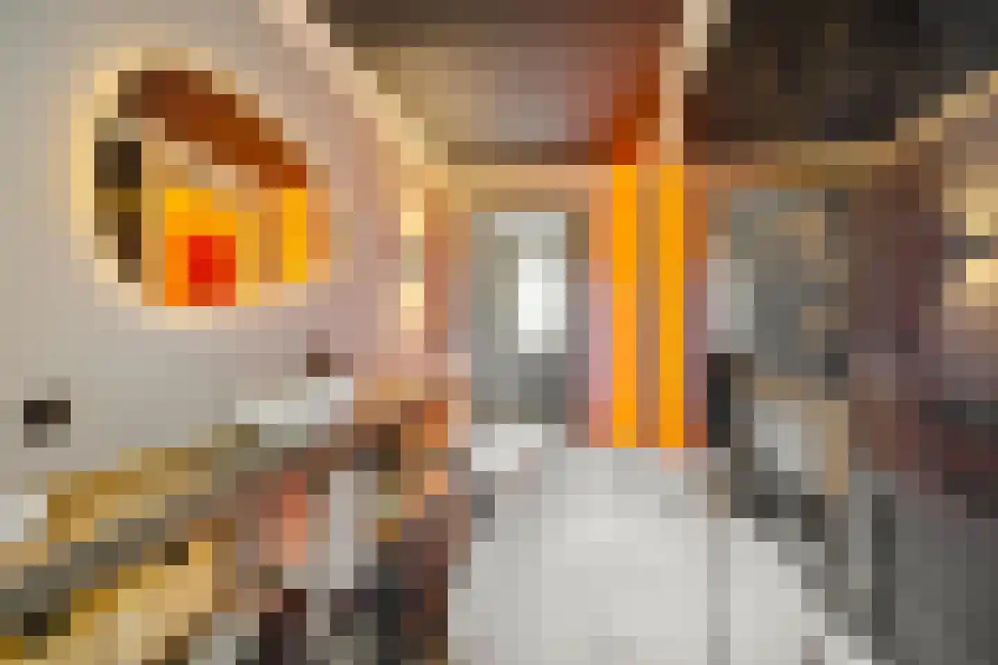 Kruisweg 5 Waskemeer thumbnail 17