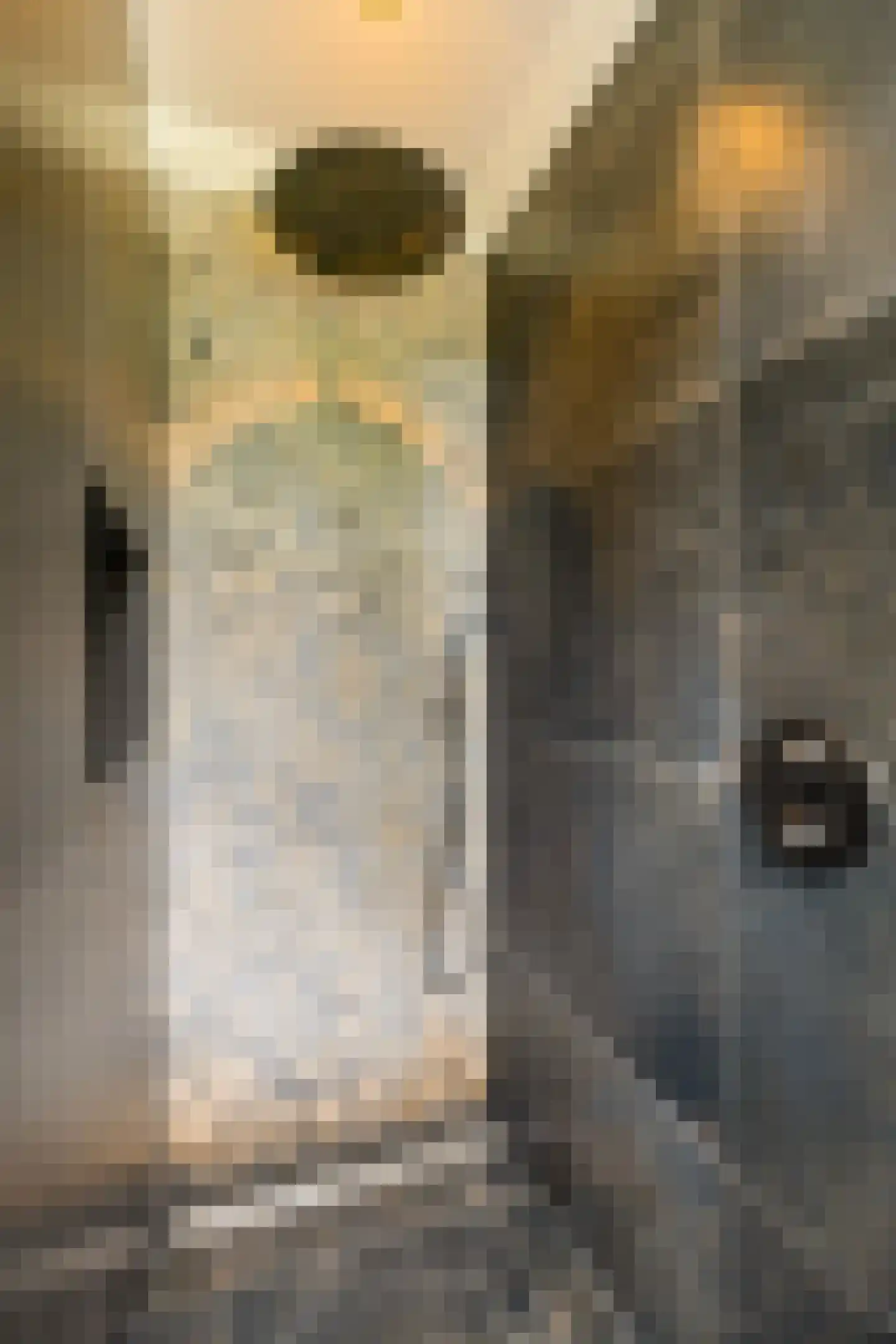 Kruisweg 5 Waskemeer thumbnail 25