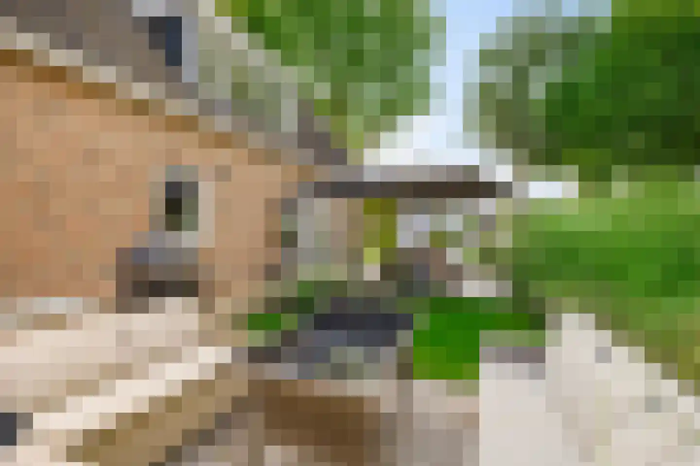 Kruisweg 5 Waskemeer thumbnail 37