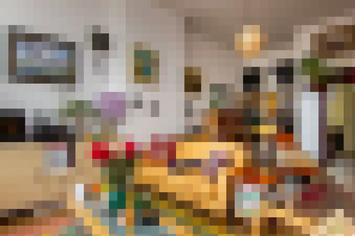 Kruisweg 6 A Haarlem thumbnail 14