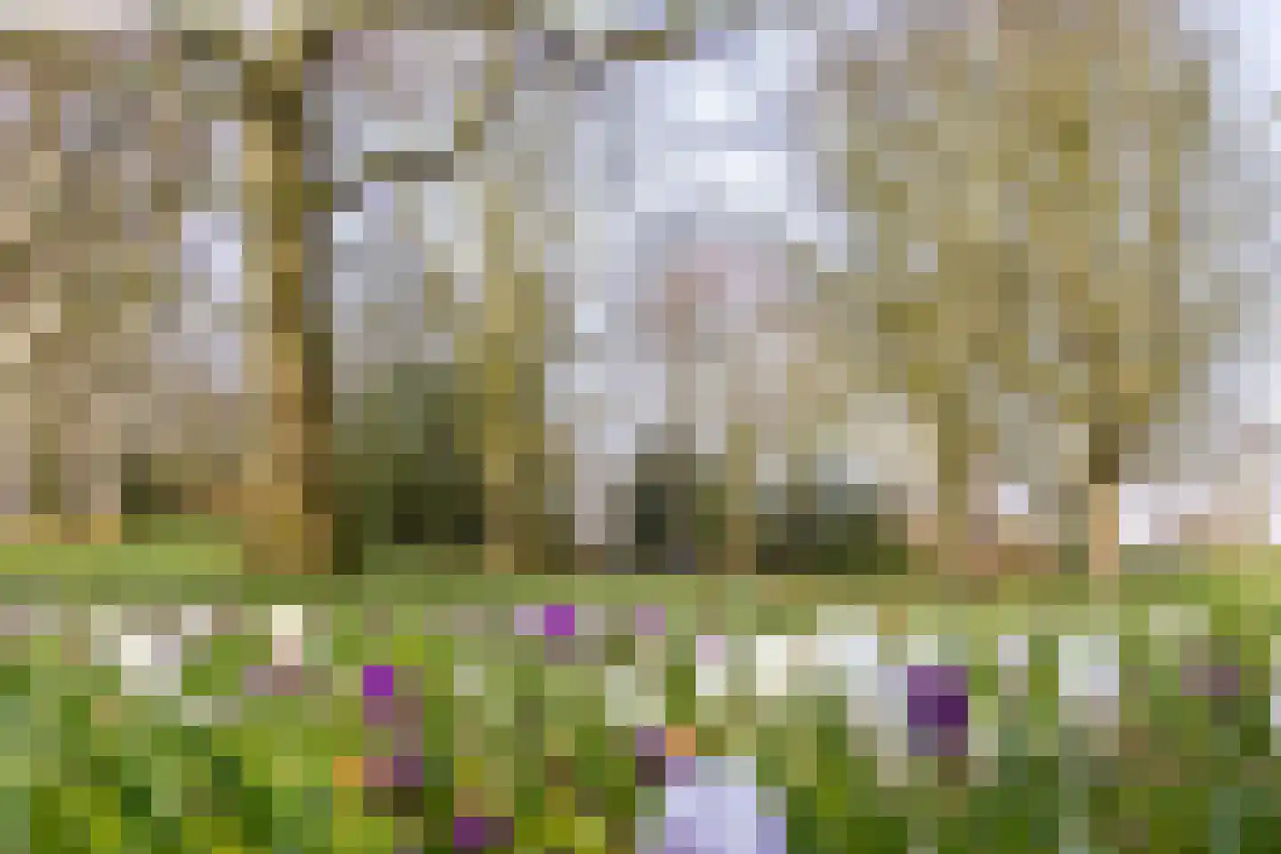 Kruisweg 6 A Haarlem thumbnail 43