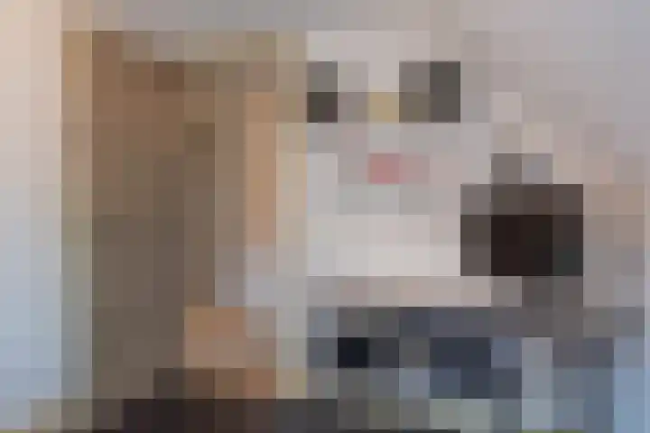 Kruisweg 6 Elburg thumbnail 35