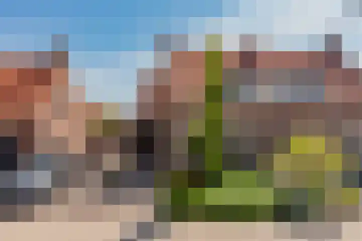 Kruisweg 6 Elburg thumbnail 5