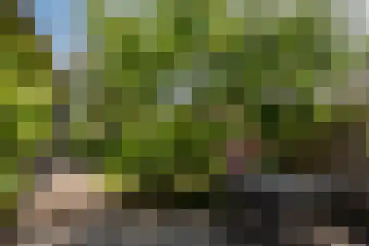 Kruisweg 6 Elburg thumbnail 55