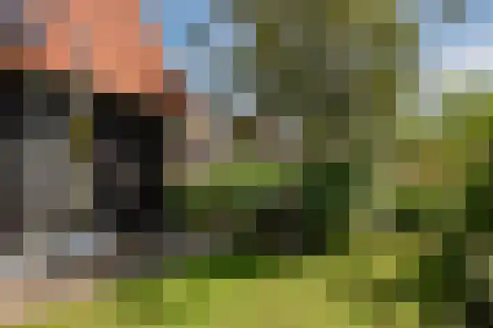 Kruisweg 6 Elburg thumbnail 58