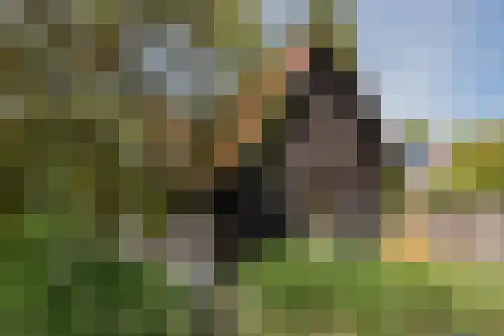 Kruisweg 6 Elburg thumbnail 59