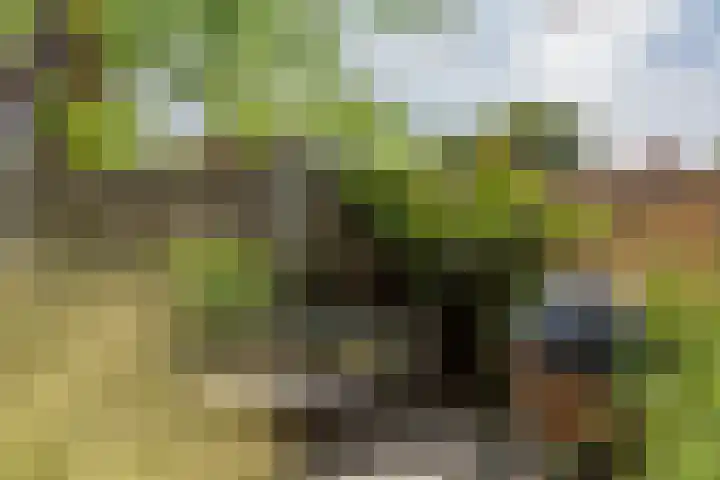 Kruisweg 6 Elburg thumbnail 64