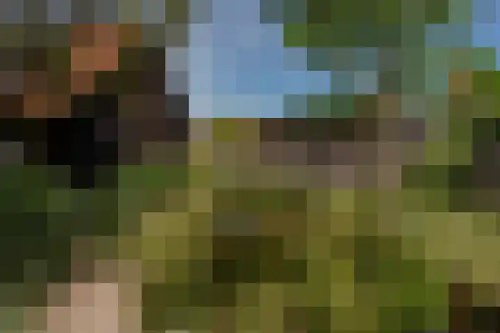 Kruisweg 6 Elburg thumbnail 65