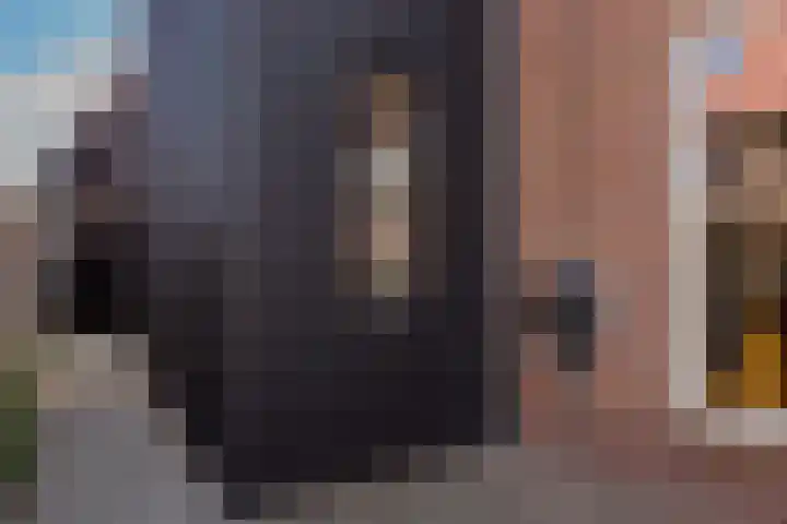 Kruisweg 6 Elburg thumbnail 67