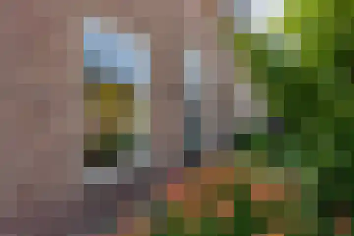 Kruisweg 6 Elburg thumbnail 7