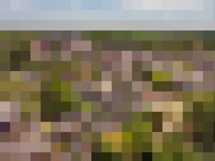 Kruisweg 6 Elburg thumbnail 72