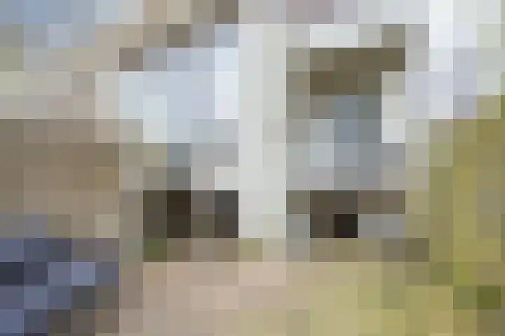 Kruisweg 6 Haarlem thumbnail 20