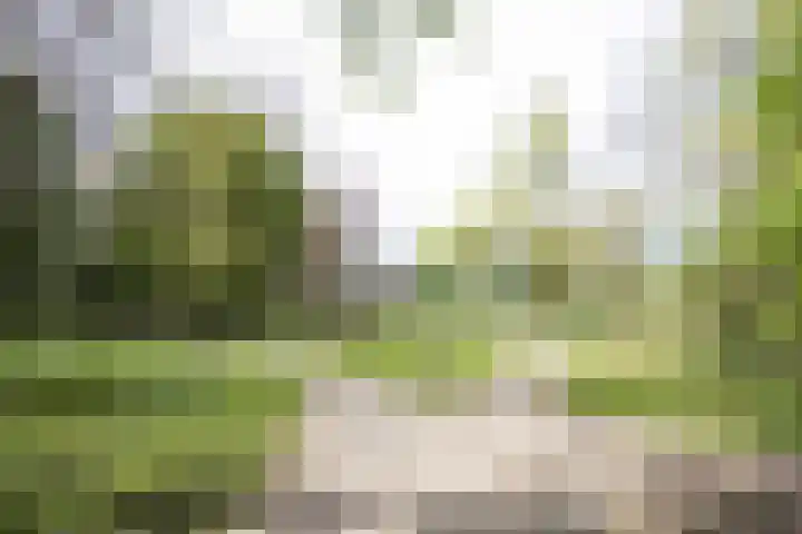 Kruisweg 6 Haarlem thumbnail 21