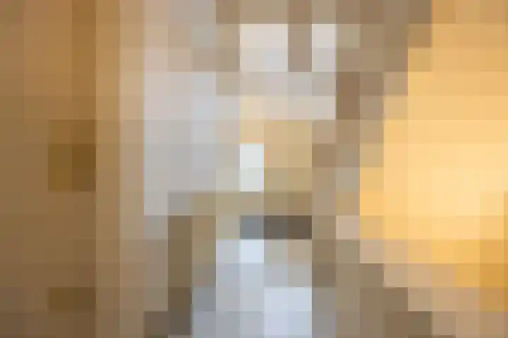 Kruisweg 6 Haarlem thumbnail 6