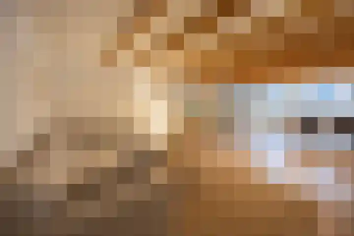 Kruisweg 6 Haarlem thumbnail 7
