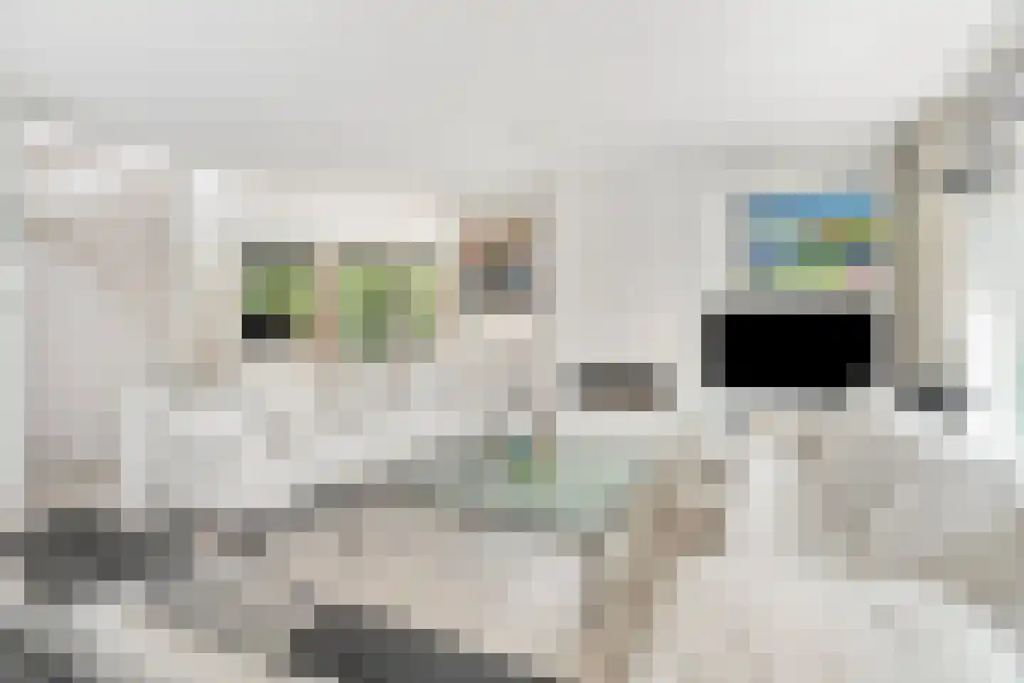 Kruisweg 6 Nijmegen thumbnail 10