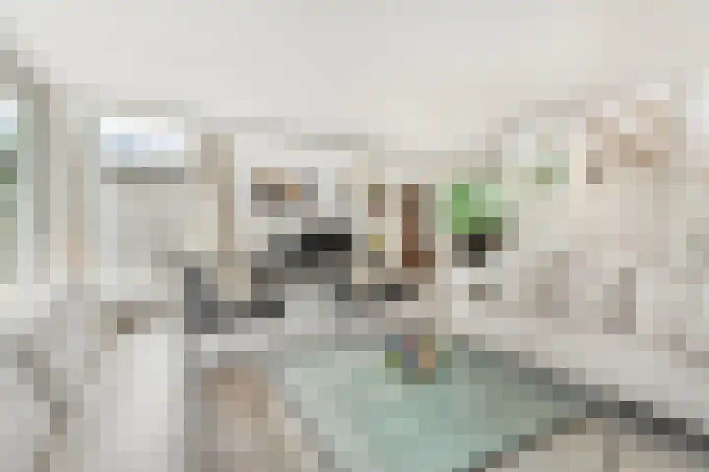Kruisweg 6 Nijmegen thumbnail 12